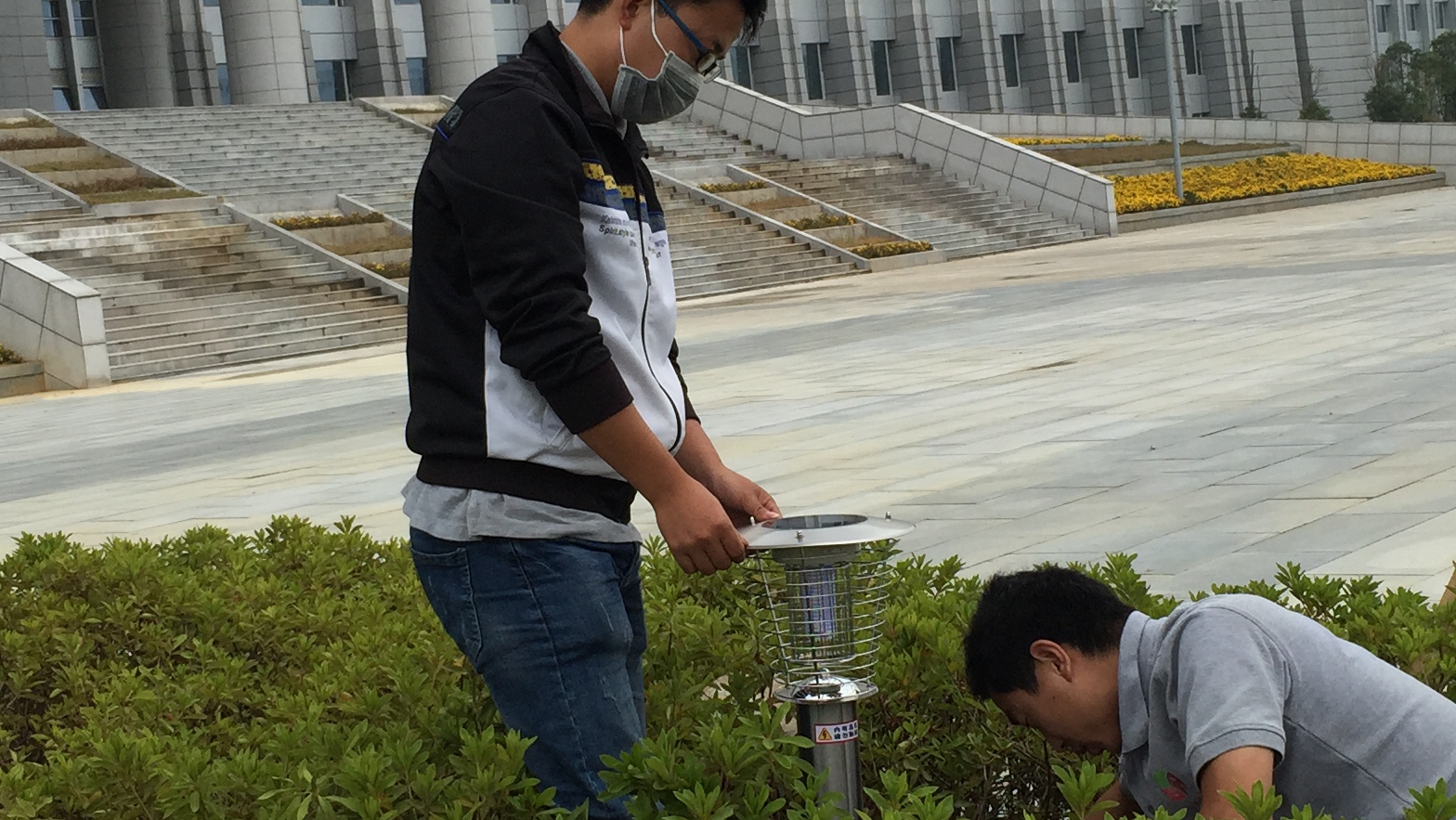 政務新區(qū)安裝滅蚊燈